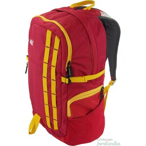 Backpacks bags